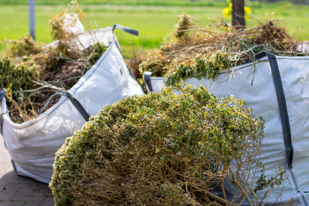 Reliable Elm Grove, WI Junk Removal Solutions